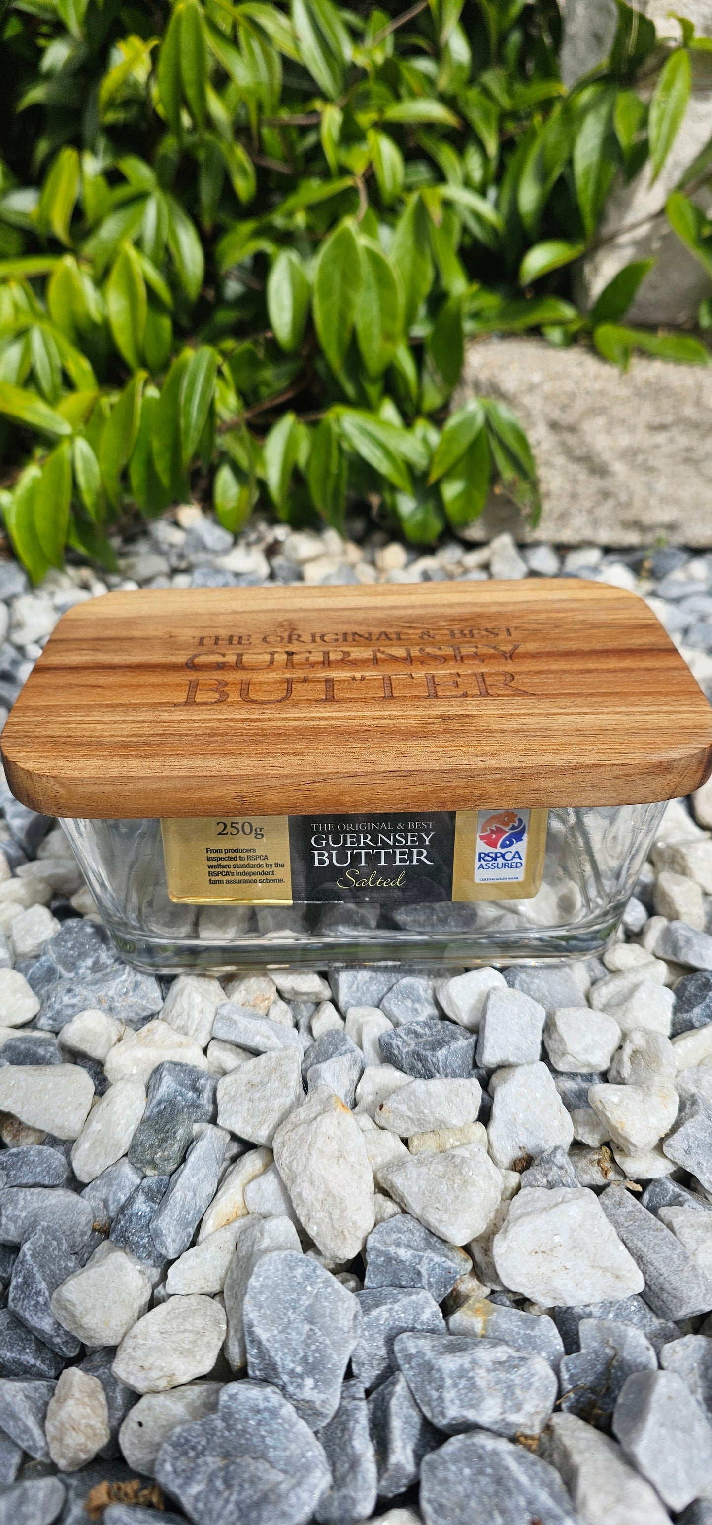 Guernsey Butter Dish - Wooden Top