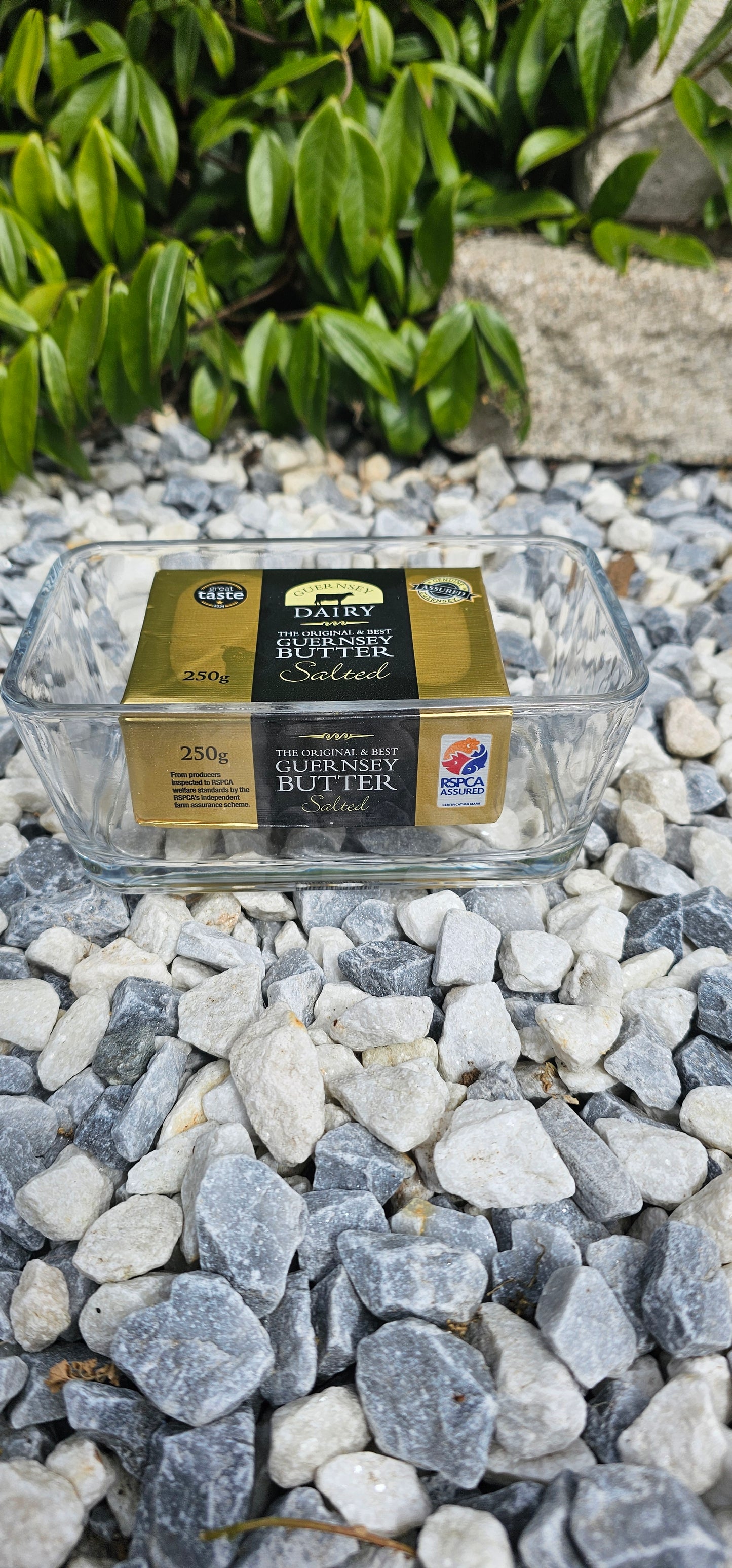 Guernsey Butter Dish - Wooden Top