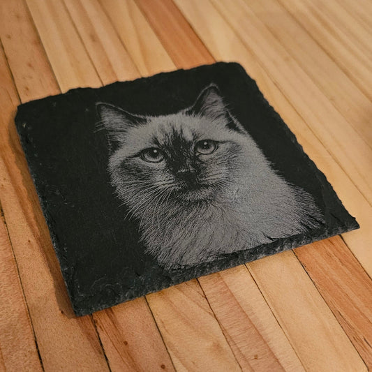 Black patch with a cat design on a wooden surface